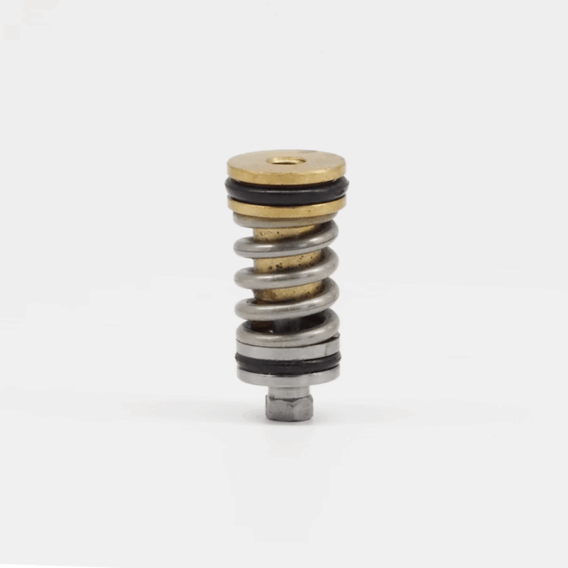 Piston set B1