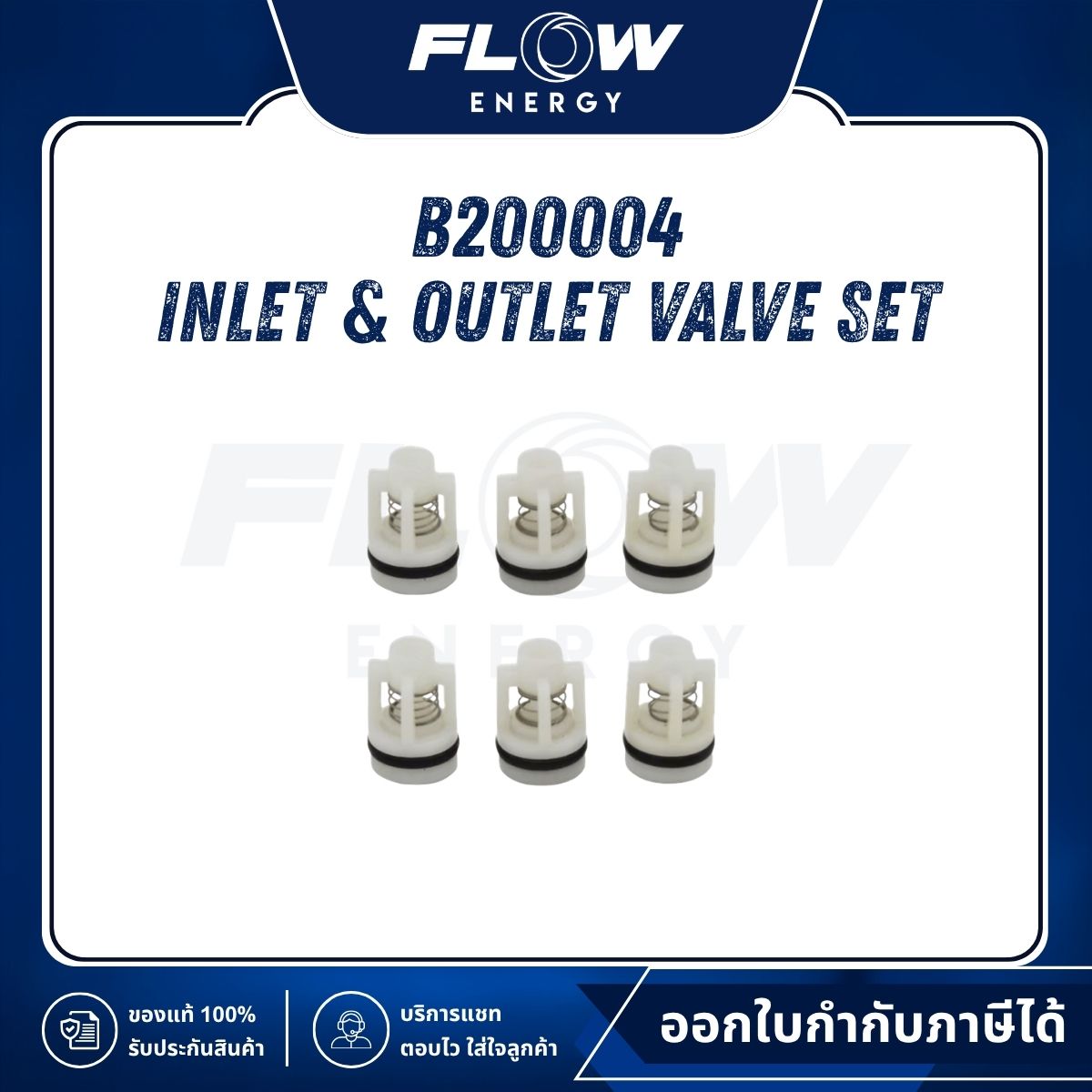 B2, B2NL Inlet & Outlet Valve Set : B200004
