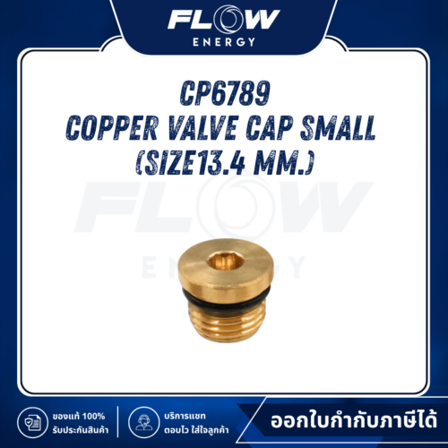 M6, M9, B2 Copper Valve Cap Small  (Size13.4 mm.) : CP6789