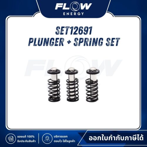 M6, M9, B2, NEWLOT Plunger + Spring Set : SET12691