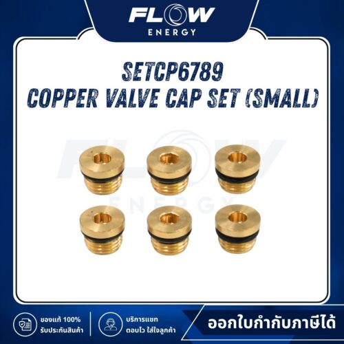 B2, B2FB, B2NL  Copper Valve Cap Set (Small) : SETCP6789