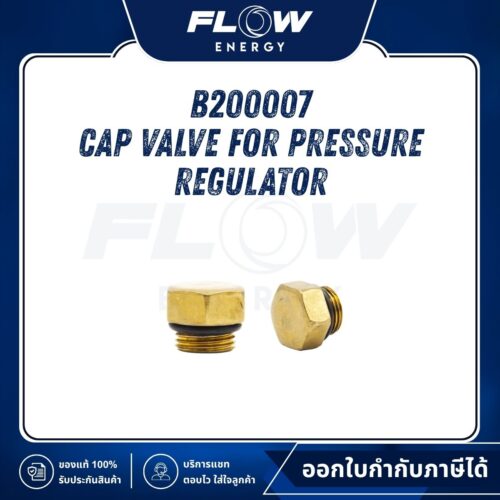 B2 Cap Valve for Pressure Regulator : B200007