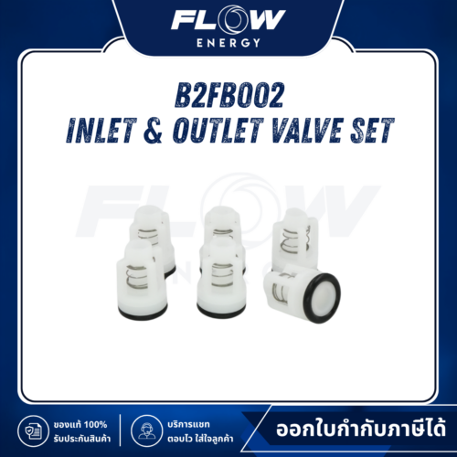 B2FB  Inlet & Outlet Valve Set : B2FB002
