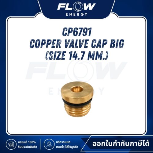 M6,M9,NEWLOT Copper Valve Cap Big (Size 14.7 mm.) : CP6791