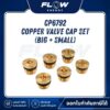 M6, M9 Copper Valve Cap Set (Big + Small) : CP6792