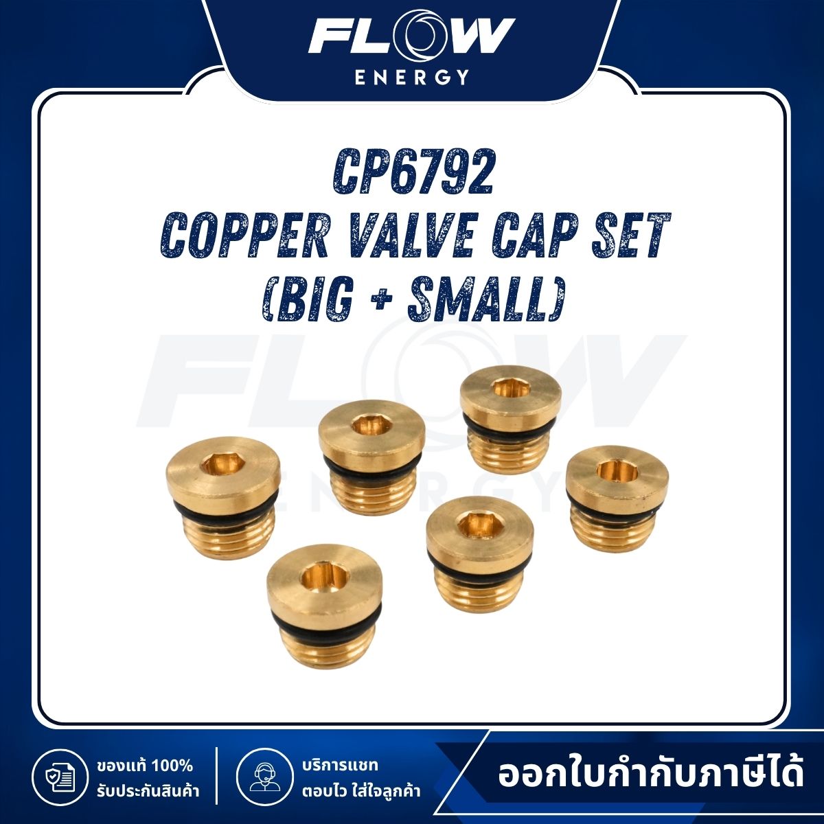 M6, M9 Copper Valve Cap Set (Big + Small) : CP6792