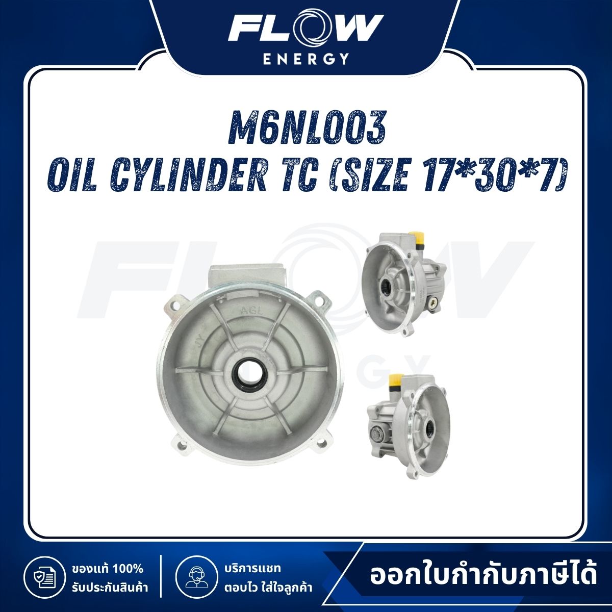 M6NL Oil Cylinder TC (Size 17*30*7) : M6NL003