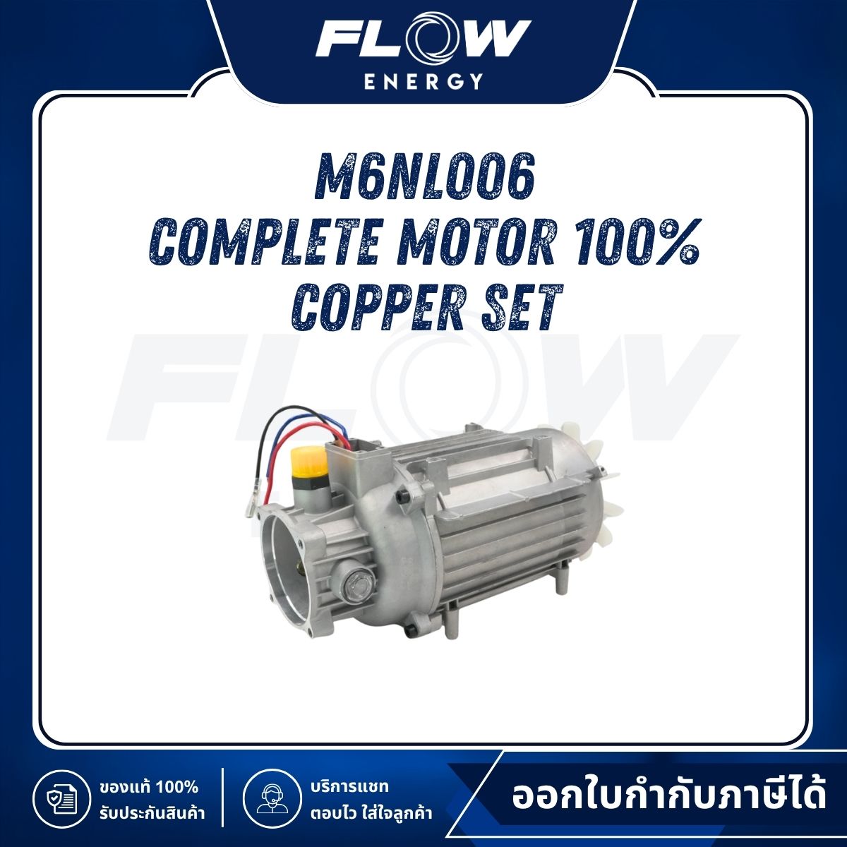 M6NL Complete Motor 100% Copper Set : M6NL006