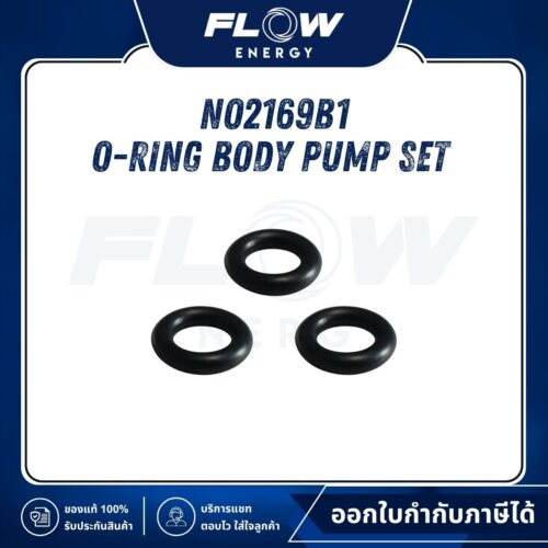 M6, M9, B1 O-Ring Body Pump Set  : NO2169B1