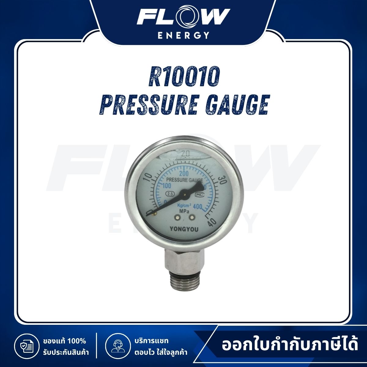R1, R3 Pressure Gauge : R10010