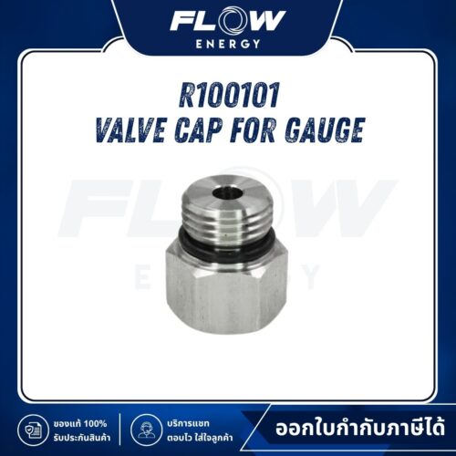R1, R3 Valve Cap for Gauge : R100101
