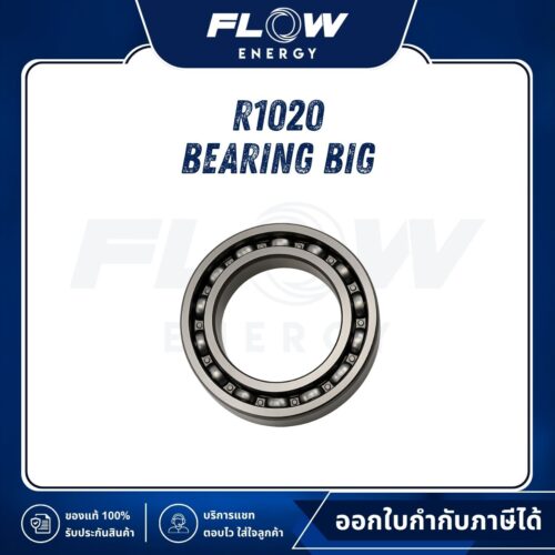 R1, R3 Bearing Big : R1020