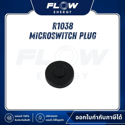 R1, R3 Microswitch Plug : R1038
