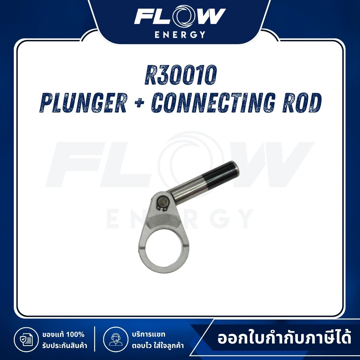 R3 Plunger + Connecting Rod : R30010
