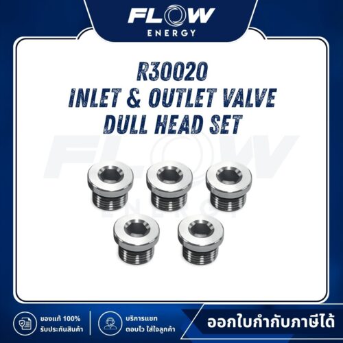 R3  Inlet & Outlet Valve Dull Head Set : R30020
