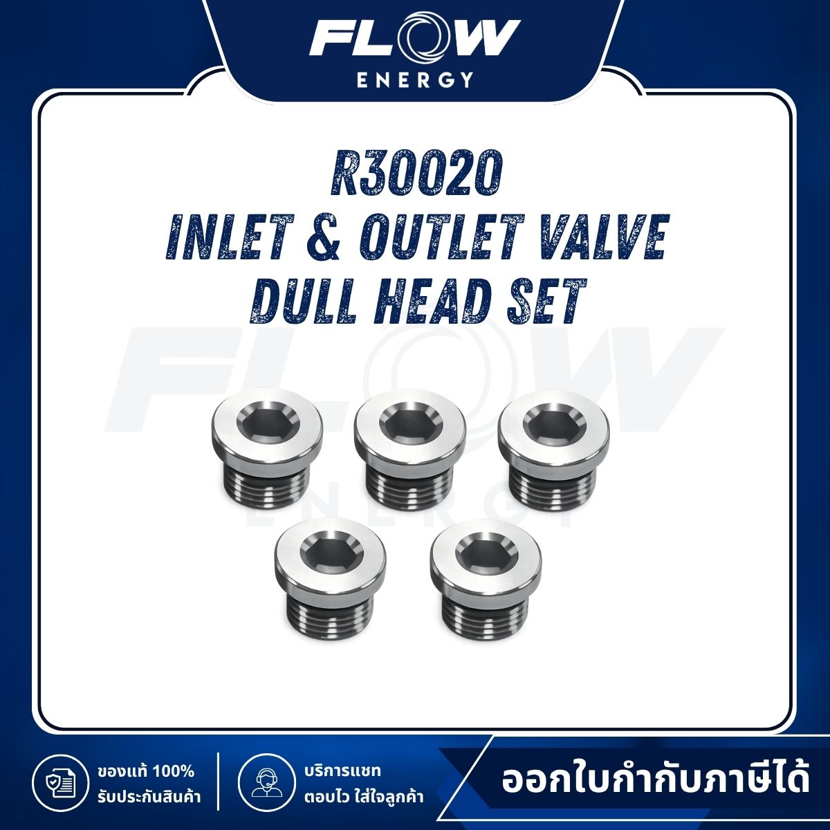 R3 Inlet & Outlet Valve Dull Head Set : R30020