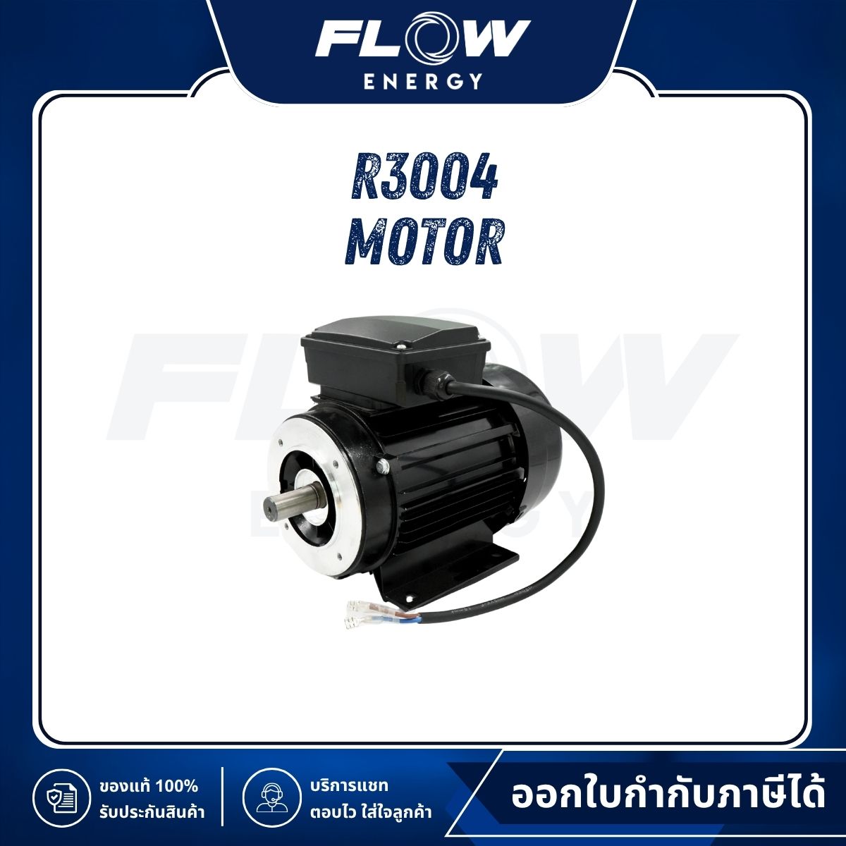 R3 Motor 100% : R3004