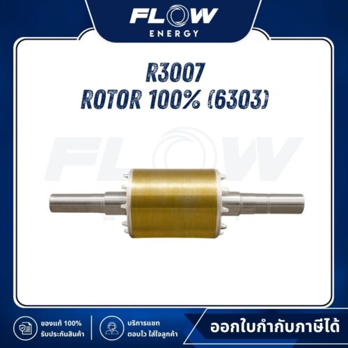 R3  Rotor 100% (6303) : R3007