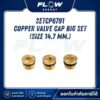 M6NL, M9NL Copper Valve Cap Big Set (Size 14.7 mm.) : SETCP6791