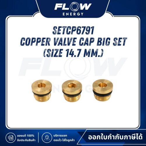 M6NL, M9NL Copper Valve Cap Big Set (Size 14.7 mm.) : SETCP6791
