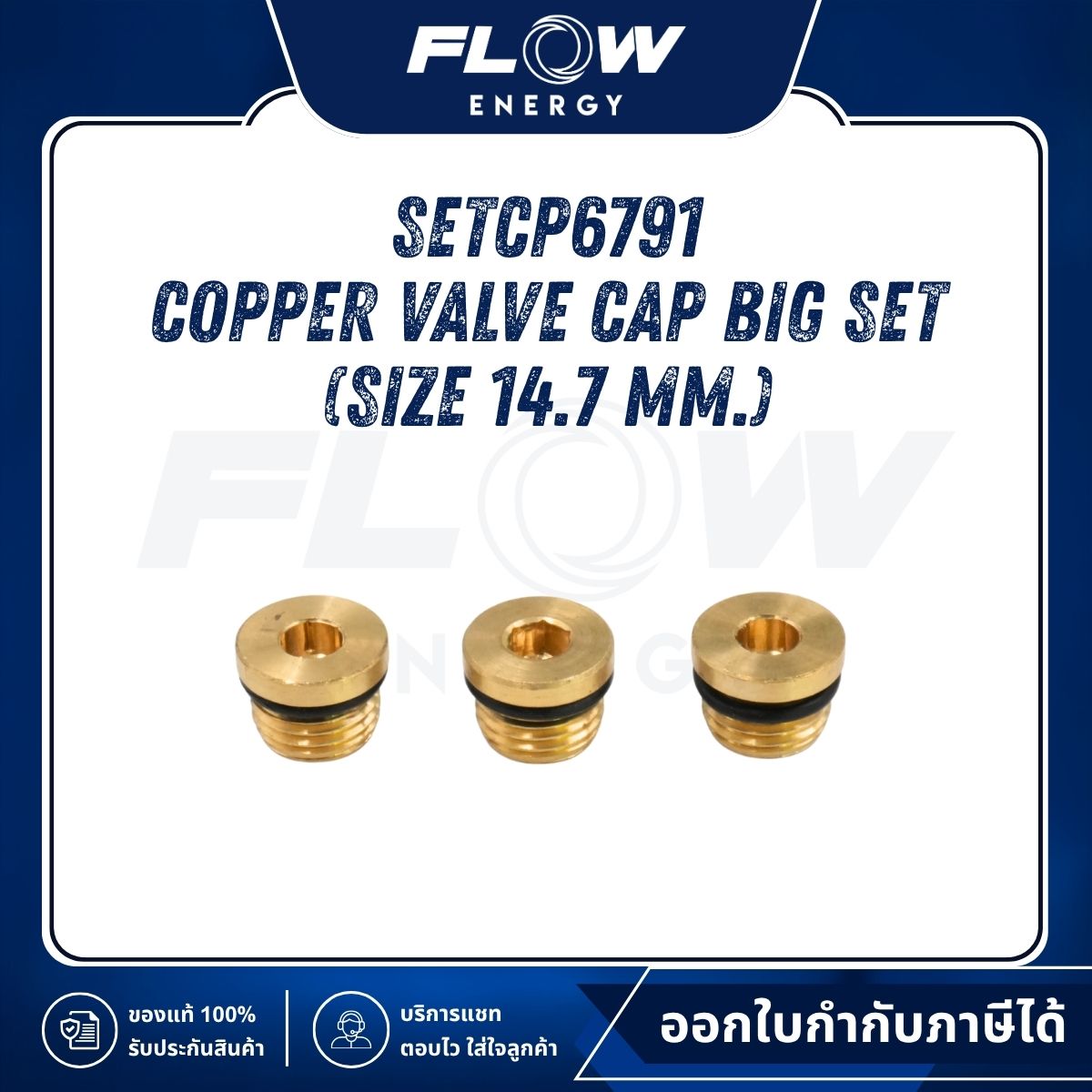 M6NL, M9NL Copper Valve Cap Big Set (Size 14.7 mm.) : SETCP6791