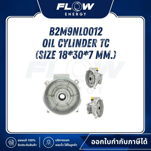 M9NL, B2NL Oil Cylinder TC (Size 18*30*7 mm.) : B2M9NL0012